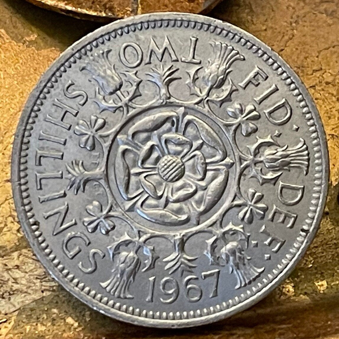 Tudor Rose, Thistle, Shamrock and Leek 1 Florin (2 Shillings) Great Britain Authentic Coin Money for Jewelry and Crafts (Queen Elizabeth)