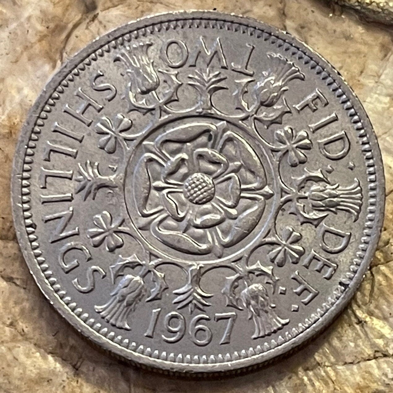 Tudor Rose, Thistle, Shamrock and Leek 1 Florin (2 Shillings) Great Britain Authentic Coin Money for Jewelry and Crafts (Queen Elizabeth)