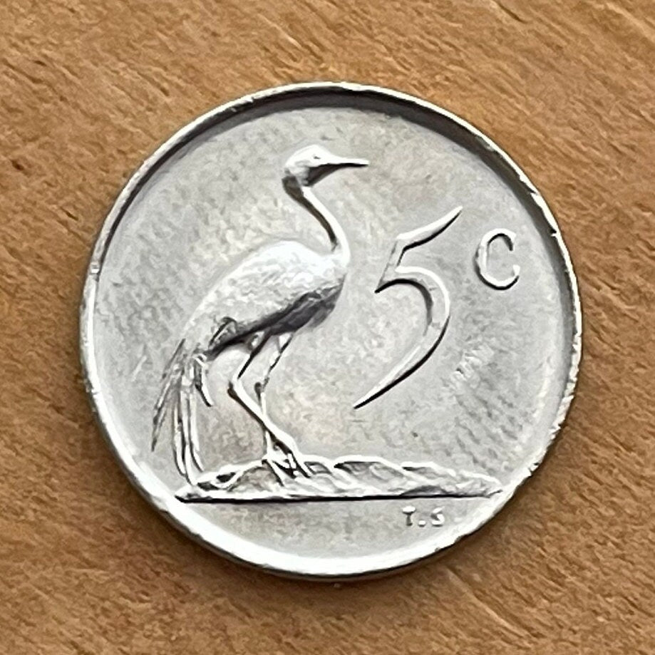 Paradise Crane (Nickel) 5 Cents South Africa Authentic Coin Money for Jewelry and Craft Making (Xhosa Hero) (Blue Crane) Power Through Unity