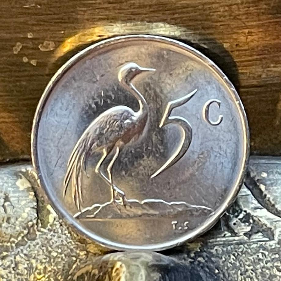Paradise Crane (Nickel) 5 Cents South Africa Authentic Coin Money for Jewelry and Craft Making (Xhosa Hero) (Blue Crane) Power Through Unity
