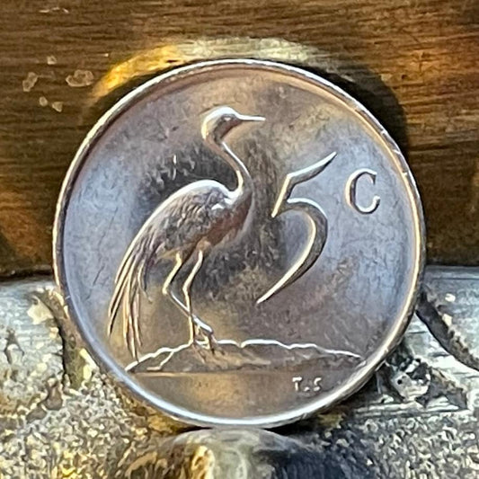 Paradise Crane (Nickel) 5 Cents South Africa Authentic Coin Money for Jewelry and Craft Making (Xhosa Hero) (Blue Crane) Power Through Unity