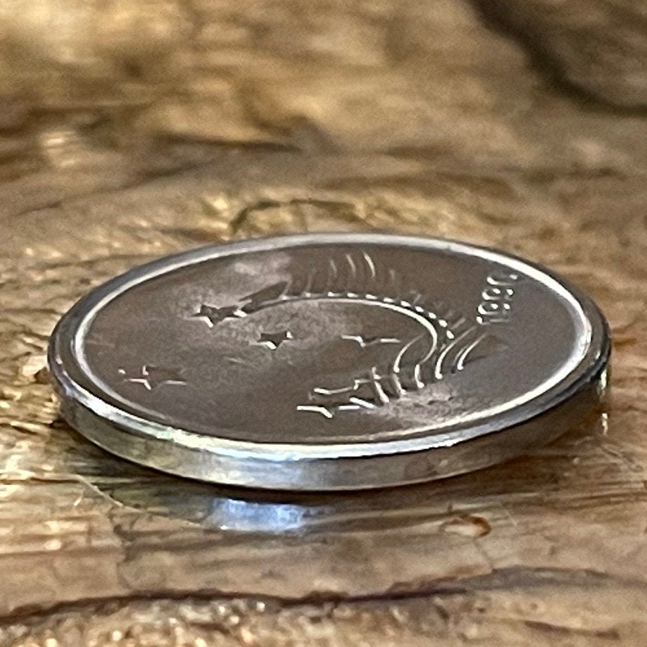 Southern Cross "Crux" Constellation 1 Cruziero Brazil Authentic Coin Money for Jewelry and Craft Making (1990) (Stars) (Astronomy)