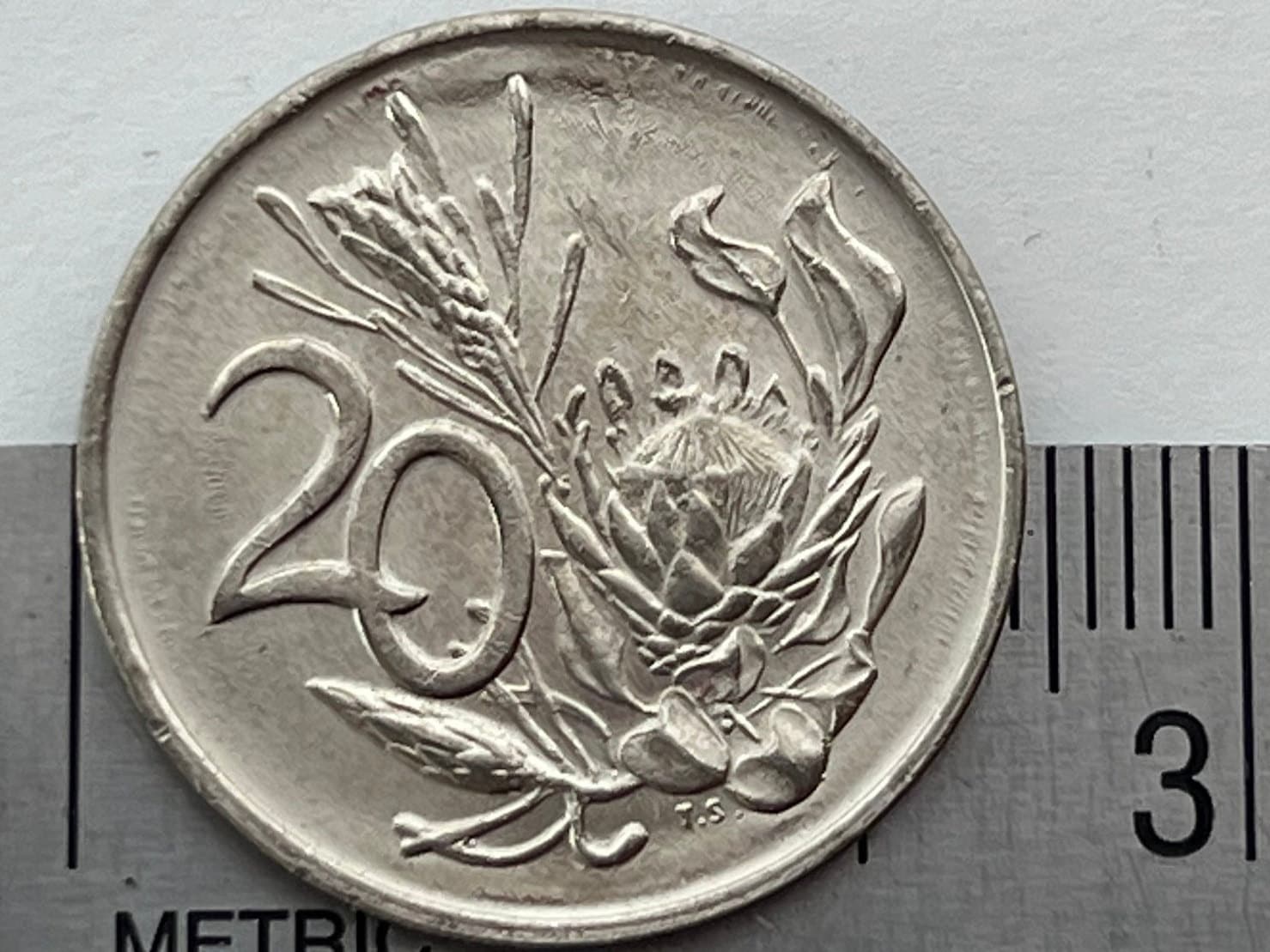 King Sugar Bush 20 Cents South Africa Authentic Coin Money for Jewelry and Craft Making (King Protea) (Power Through Unity)