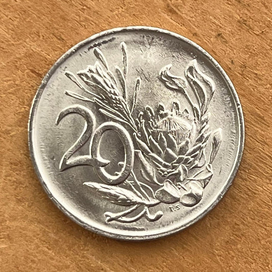 King Sugar Bush 20 Cents South Africa Authentic Coin Money for Jewelry and Craft Making (King Protea) (Power Through Unity)