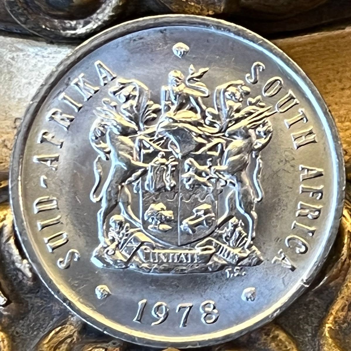 King Sugar Bush 20 Cents South Africa Authentic Coin Money for Jewelry and Craft Making (King Protea) (Power Through Unity)