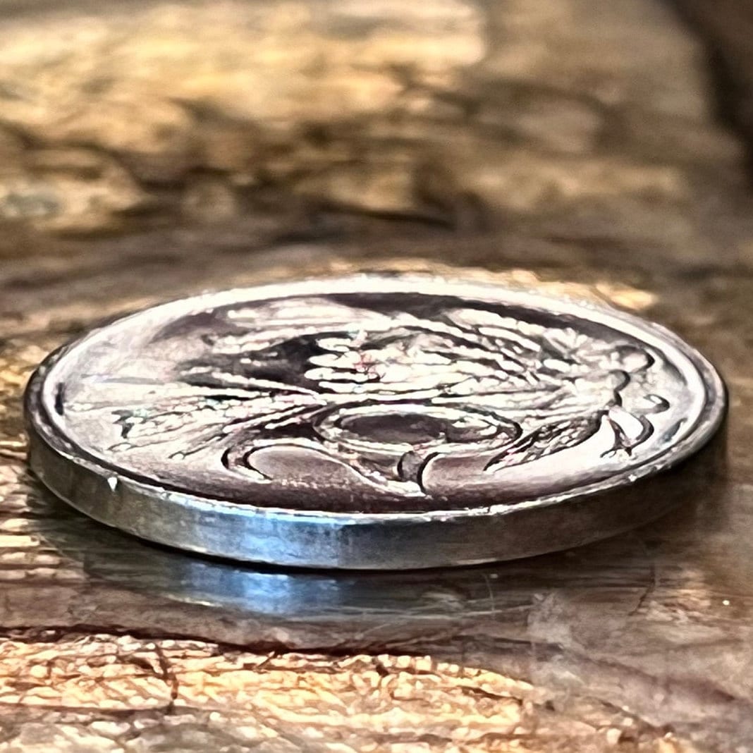 King Sugar Bush 20 Cents South Africa Authentic Coin Money for Jewelry and Craft Making (King Protea) (Power Through Unity)