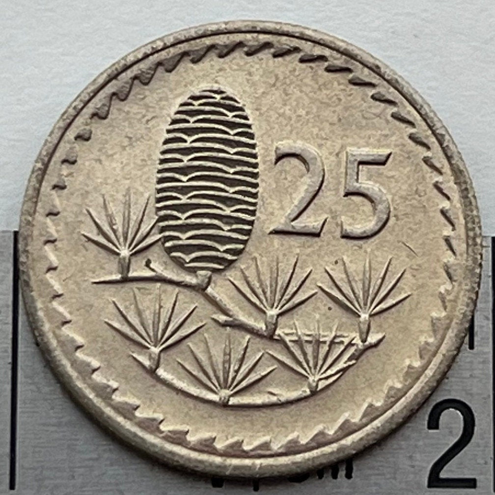 Cedar Cone & Dove with Olive Twig 25 Mils Cyprus Authentic Coin Money for Jewelry and Craft Making (Gilgamesh) (1960) (Pine Cone)