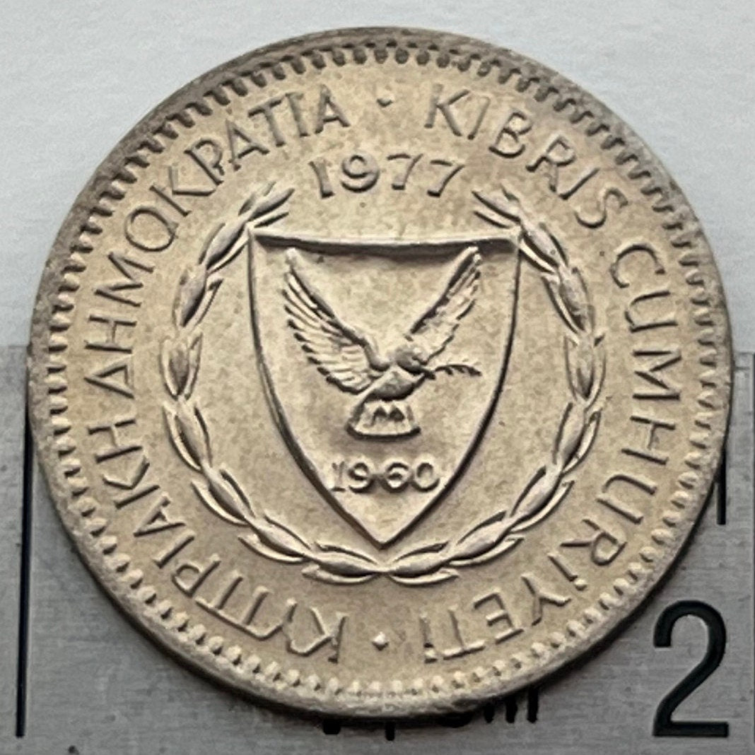 Cedar Cone & Dove with Olive Twig 25 Mils Cyprus Authentic Coin Money for Jewelry and Craft Making (Gilgamesh) (1960) (Pine Cone)