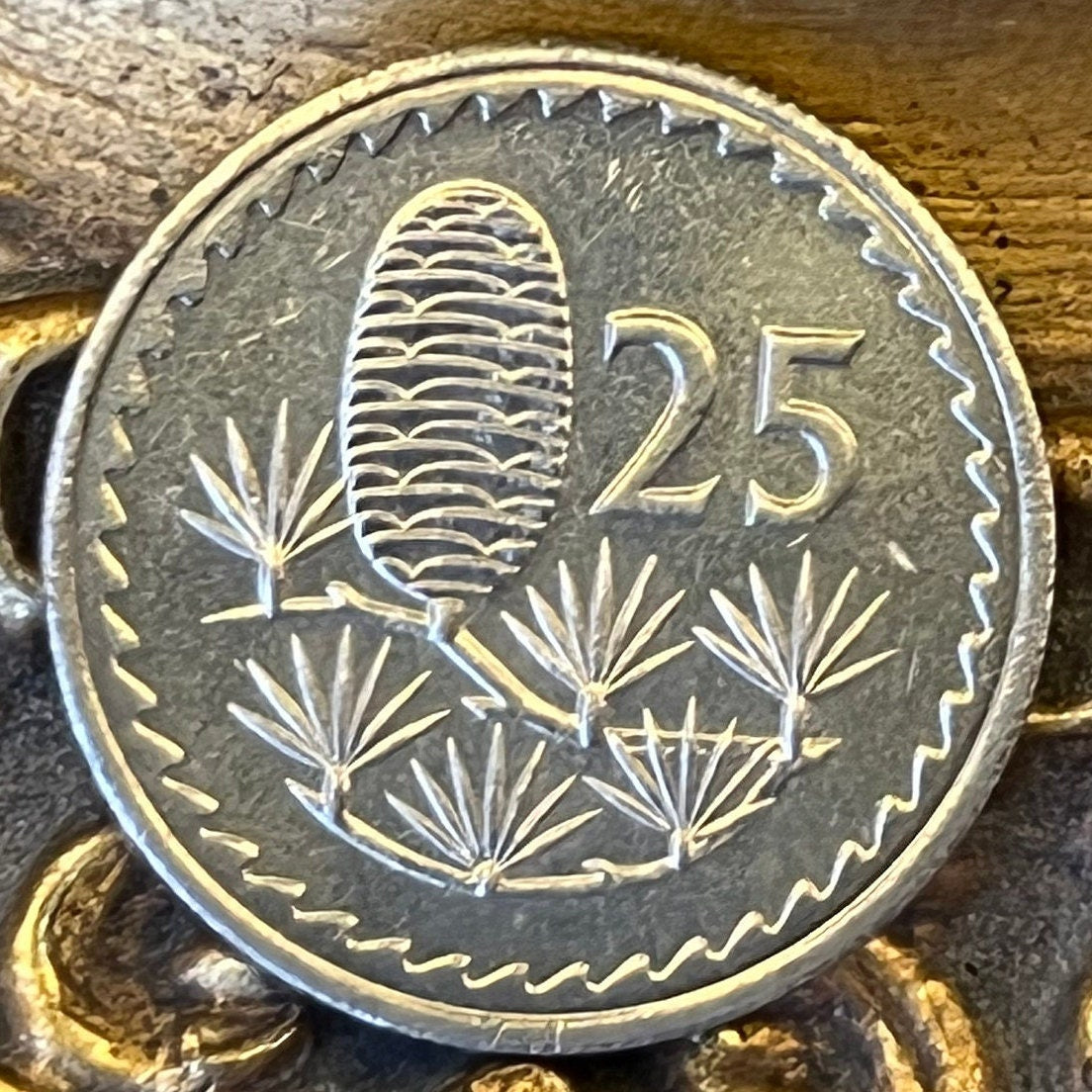 Cedar Cone & Dove with Olive Twig 25 Mils Cyprus Authentic Coin Money for Jewelry and Craft Making (Gilgamesh) (1960) (Pine Cone)