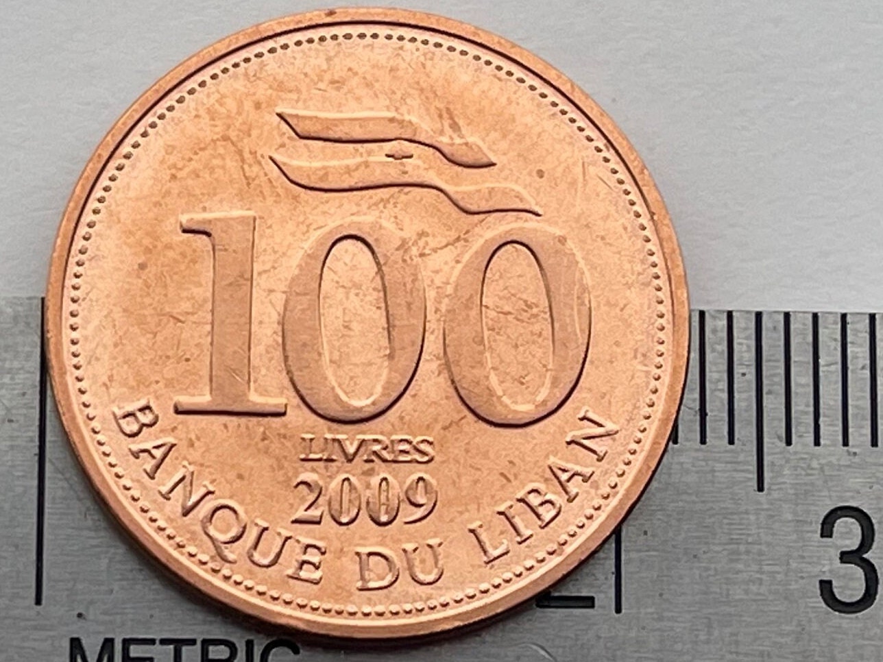 Cedar of Lebanon 100 Livres Lebanon Authentic Coin Charm for Jewelry and Craft Making (100 Pounds) (Gilgamesh)