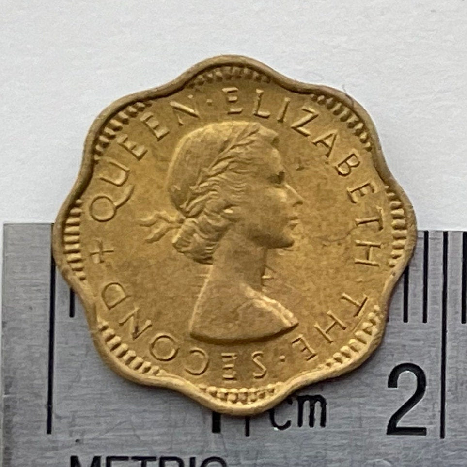 Queen Elizabeth II (Scalloped) 2 Cents Ceylon Authentic Coin Money for Jewelry and Craft Making (Sri Lanka) (First Laureate Bust)