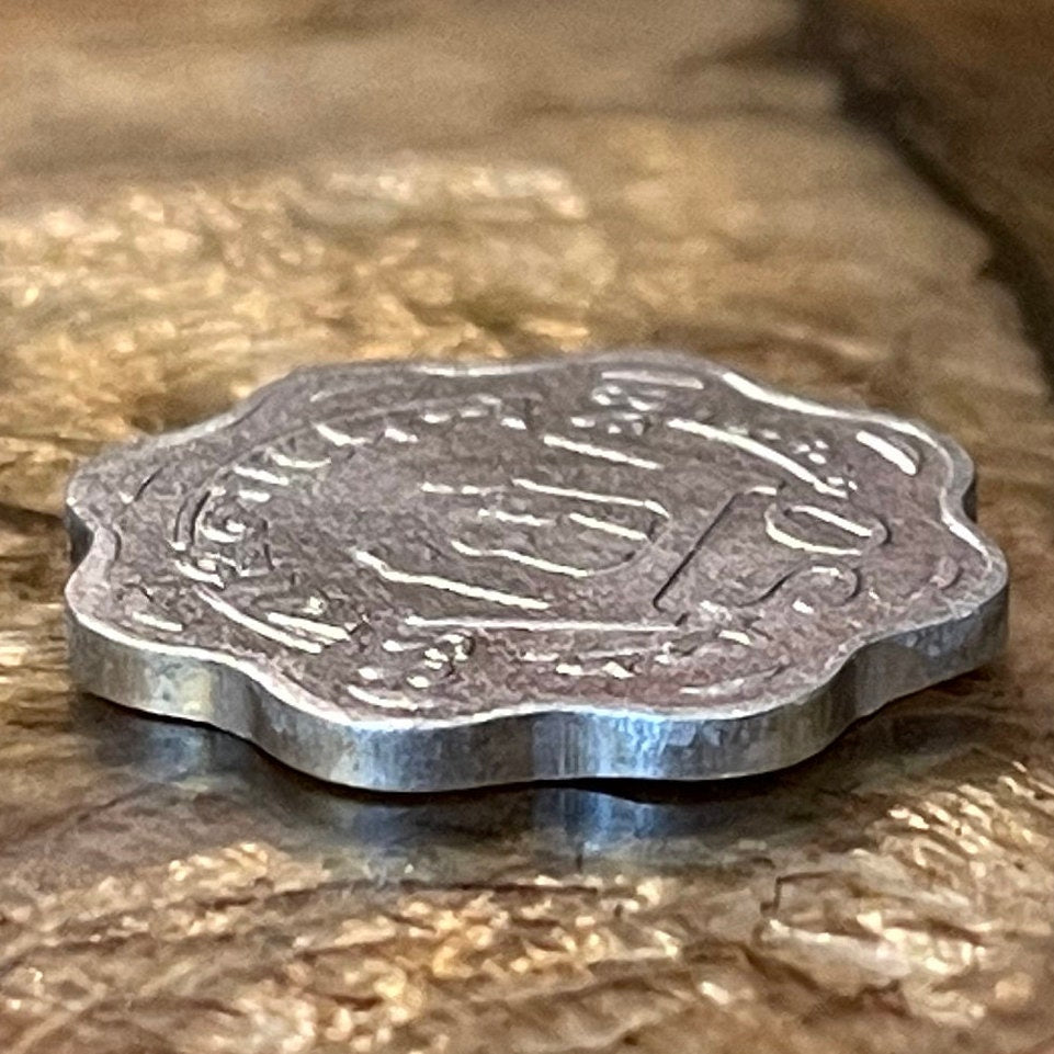 Water Lily & Two-Child Family 10 Poisha Bangladesh Authentic Coin Money for Jewelry (Scalloped Coin) (Family Planning) (Lotus) (Star Lotus)