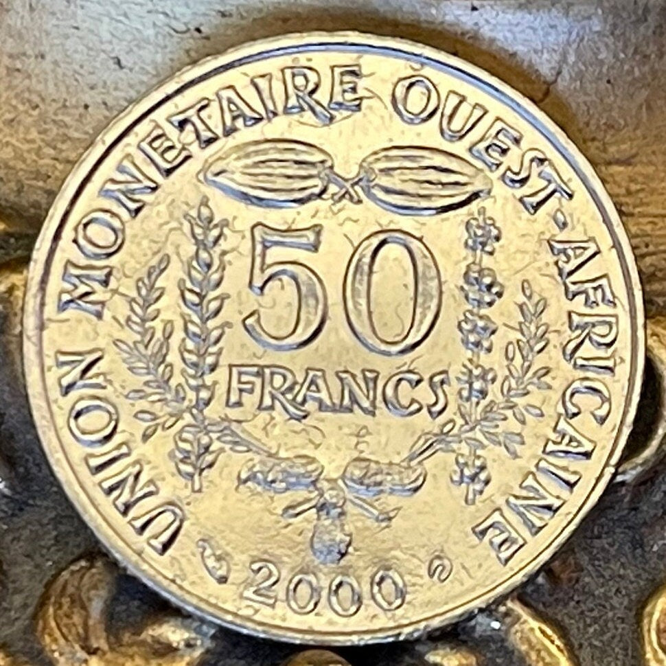 Cocoa Beans, Peanuts & Akan Sawfish Goldweight 50 CFA Francs West African States Authentic Coin Money for Jewelry (Cacao) (Ashanti)