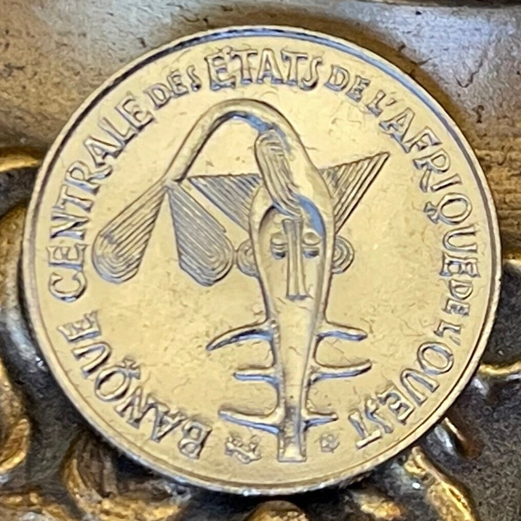 Cocoa Beans, Peanuts & Akan Sawfish Goldweight 50 CFA Francs West African States Authentic Coin Money for Jewelry (Cacao) (Ashanti)
