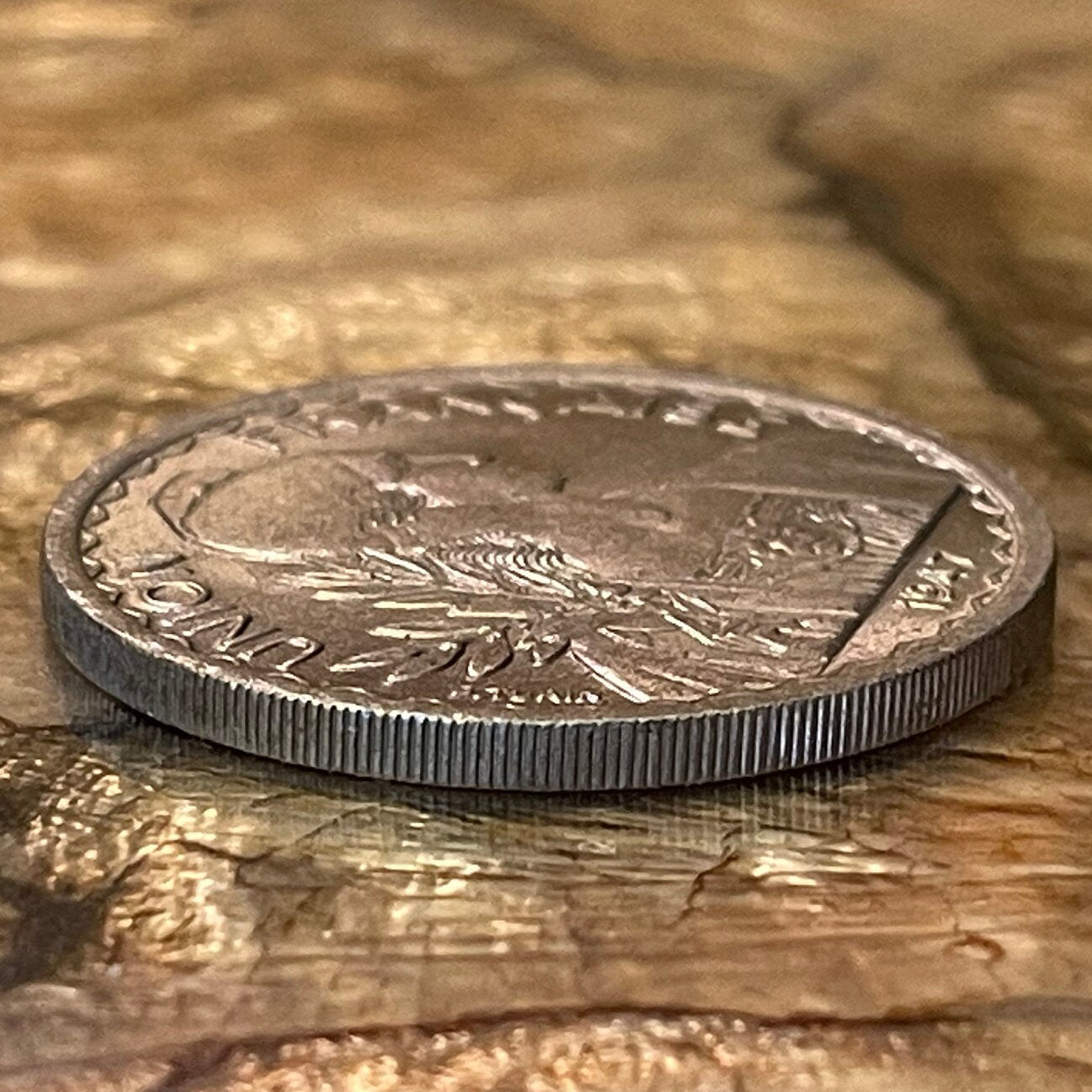 Marianne with Lion's Head Bodice & Rice Stalks French Indochina 1 Piastre Authentic Coin Money for Jewelry (Phrygian Cap) (France) (Vietnam)